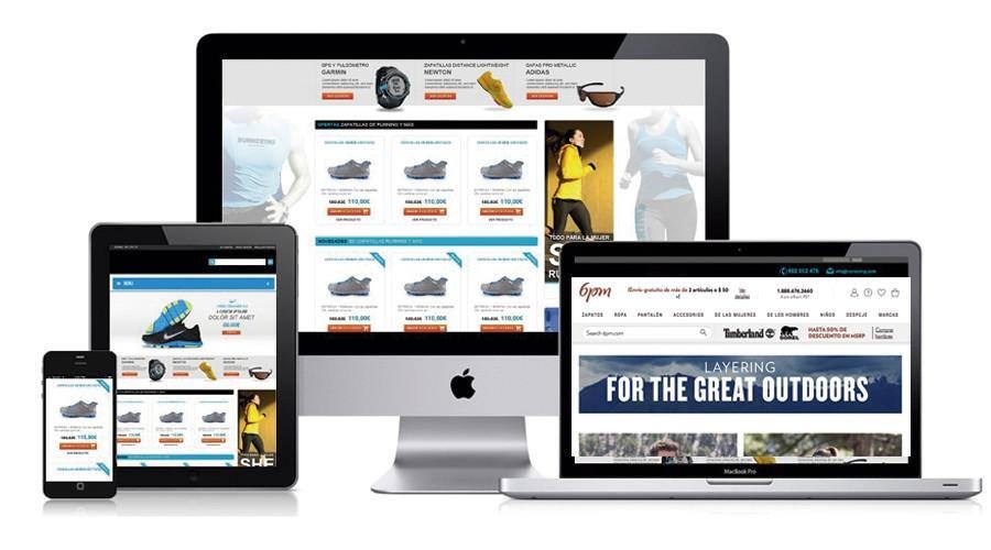 Ecommerce Website Development in Dwarka
